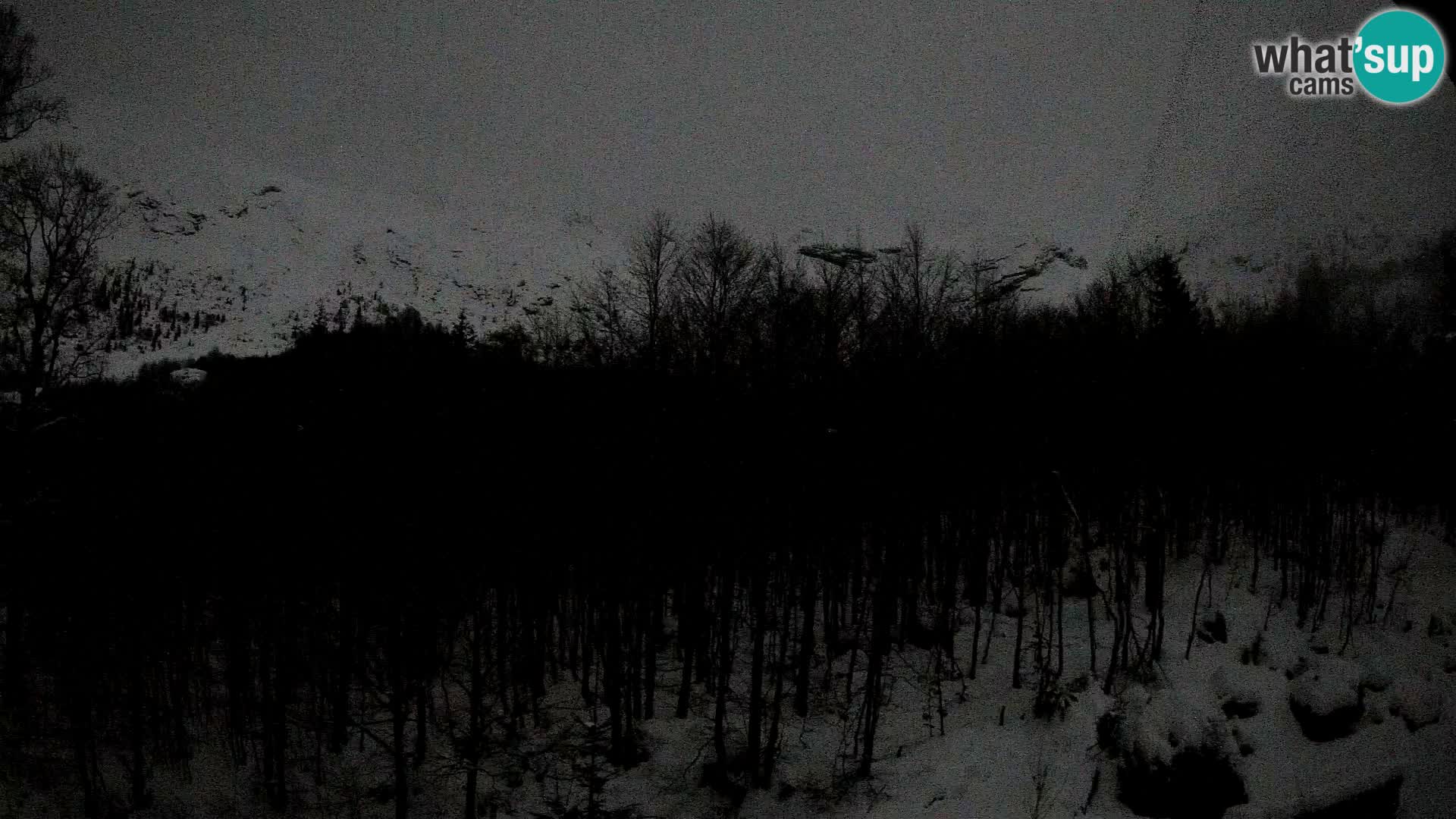 PLANINA RAZOR kamera (1315) | pogled na Vogel in Globoko