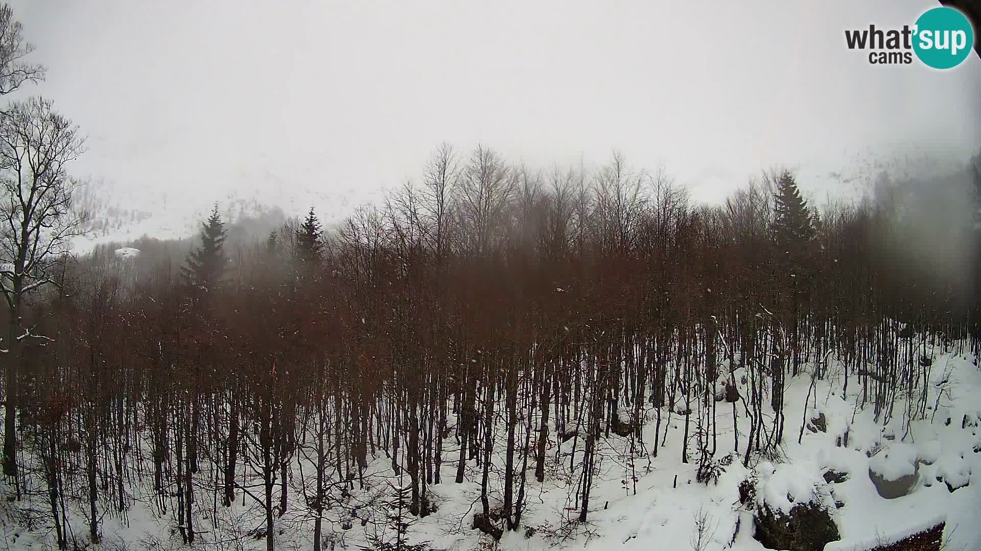 PLANINA RAZOR Live Cam (1315) | vista su Vogel e Globoko