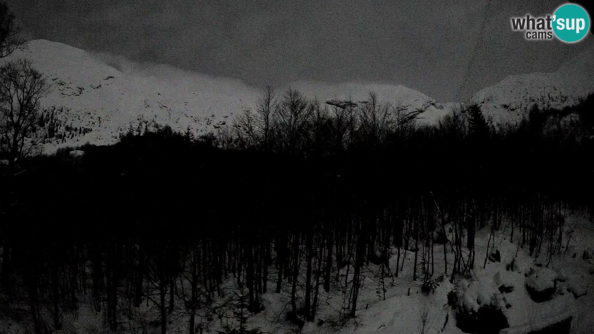 Webcam PLANINA RAZOR (1315) | Blick auf Vogel und Globoko