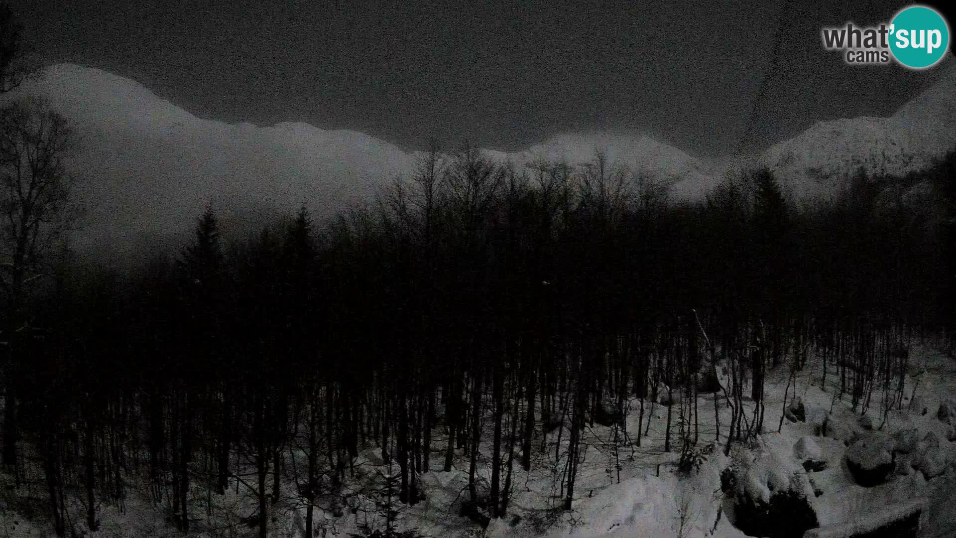 Livecam PLANINA RAZOR (1315) | vue sur Vogel et Globoko