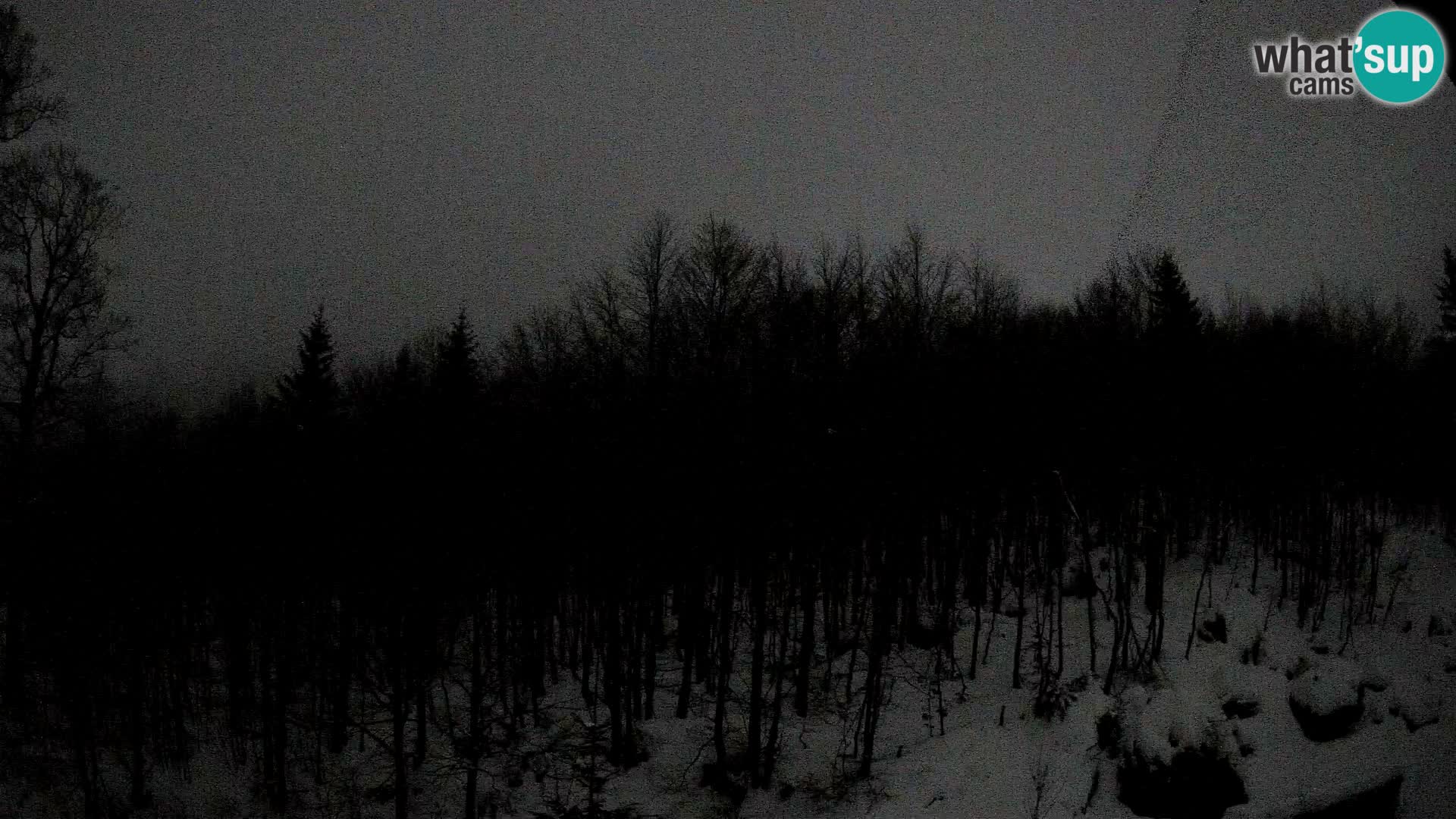 PLANINA RAZOR web kamera (1315) | pogled na Vogel i Globoko