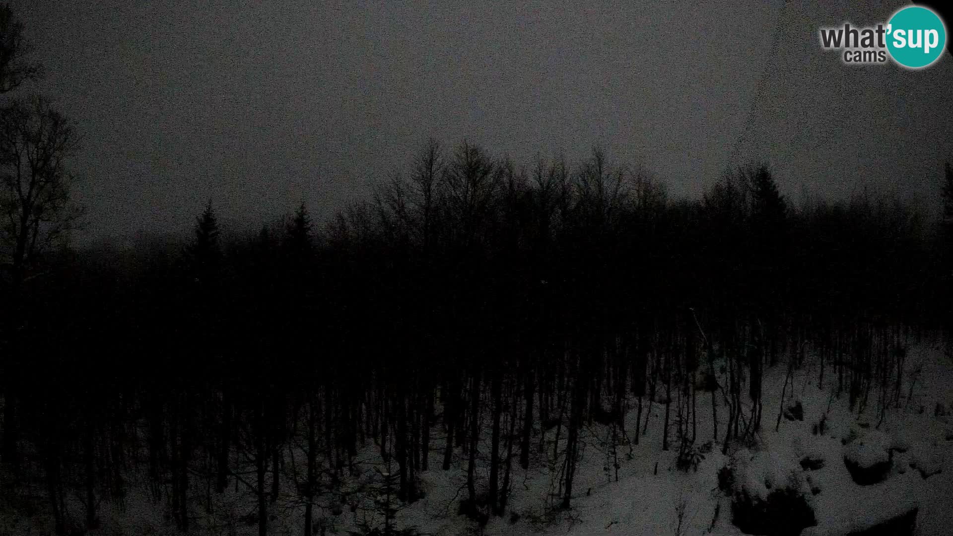 Cámara web PLANINA RAZOR (1315) | vista a Vogel y Globoko