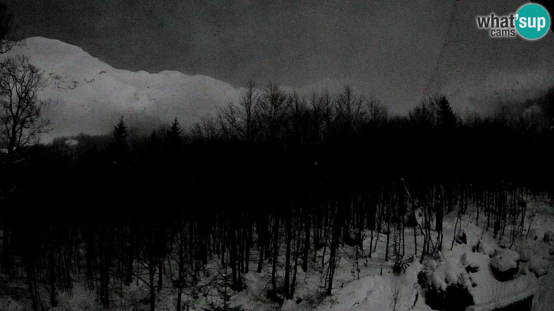 PLANINA RAZOR webcam (1315) | view to Vogel and Globoko