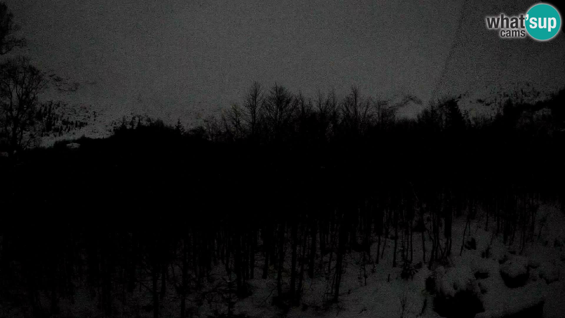 PLANINA RAZOR Live Cam (1315) | vista su Vogel e Globoko