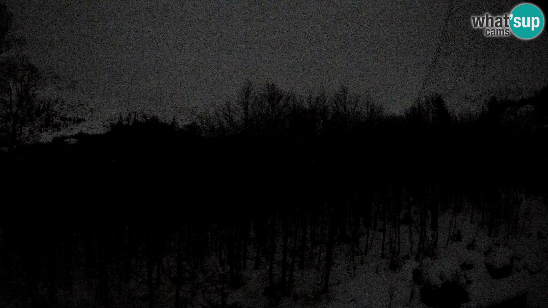 Webcam PLANINA RAZOR (1315) | Blick auf Vogel und Globoko