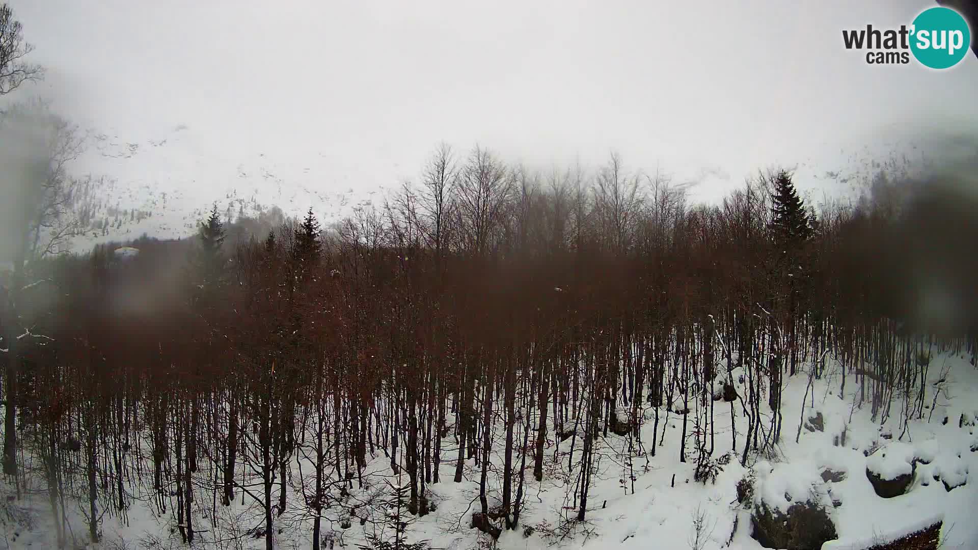 PLANINA RAZOR webcam (1315) | view to Vogel and Globoko