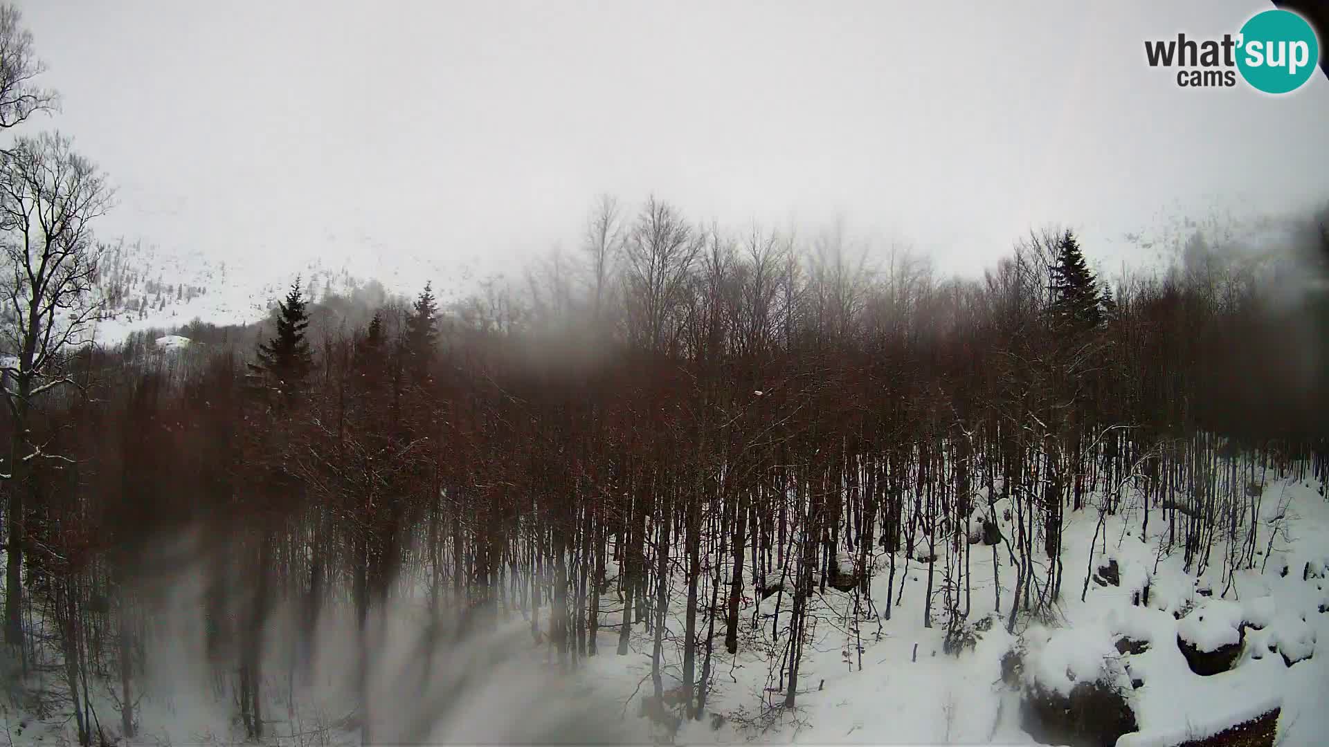 Cámara web PLANINA RAZOR (1315) | vista a Vogel y Globoko