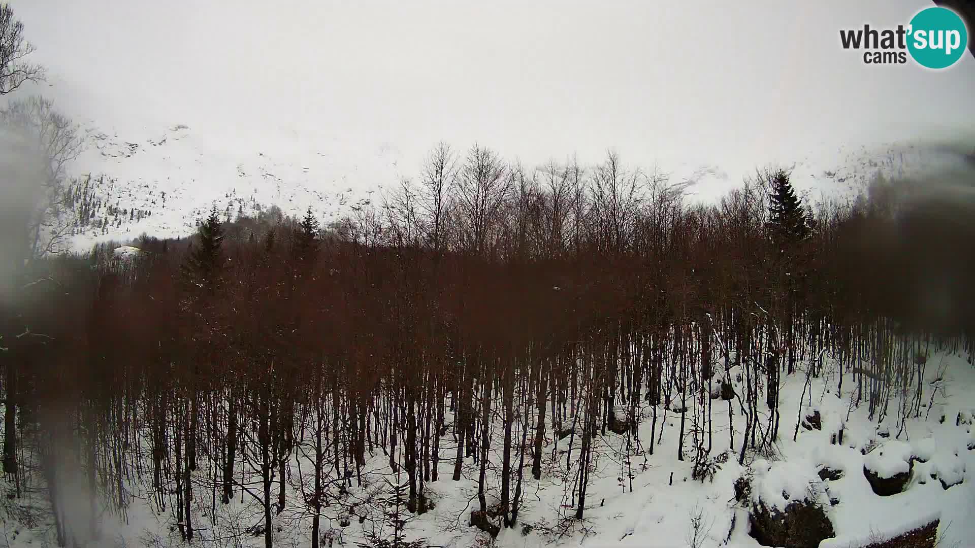 PLANINA RAZOR kamera (1315) | pogled na Vogel in Globoko