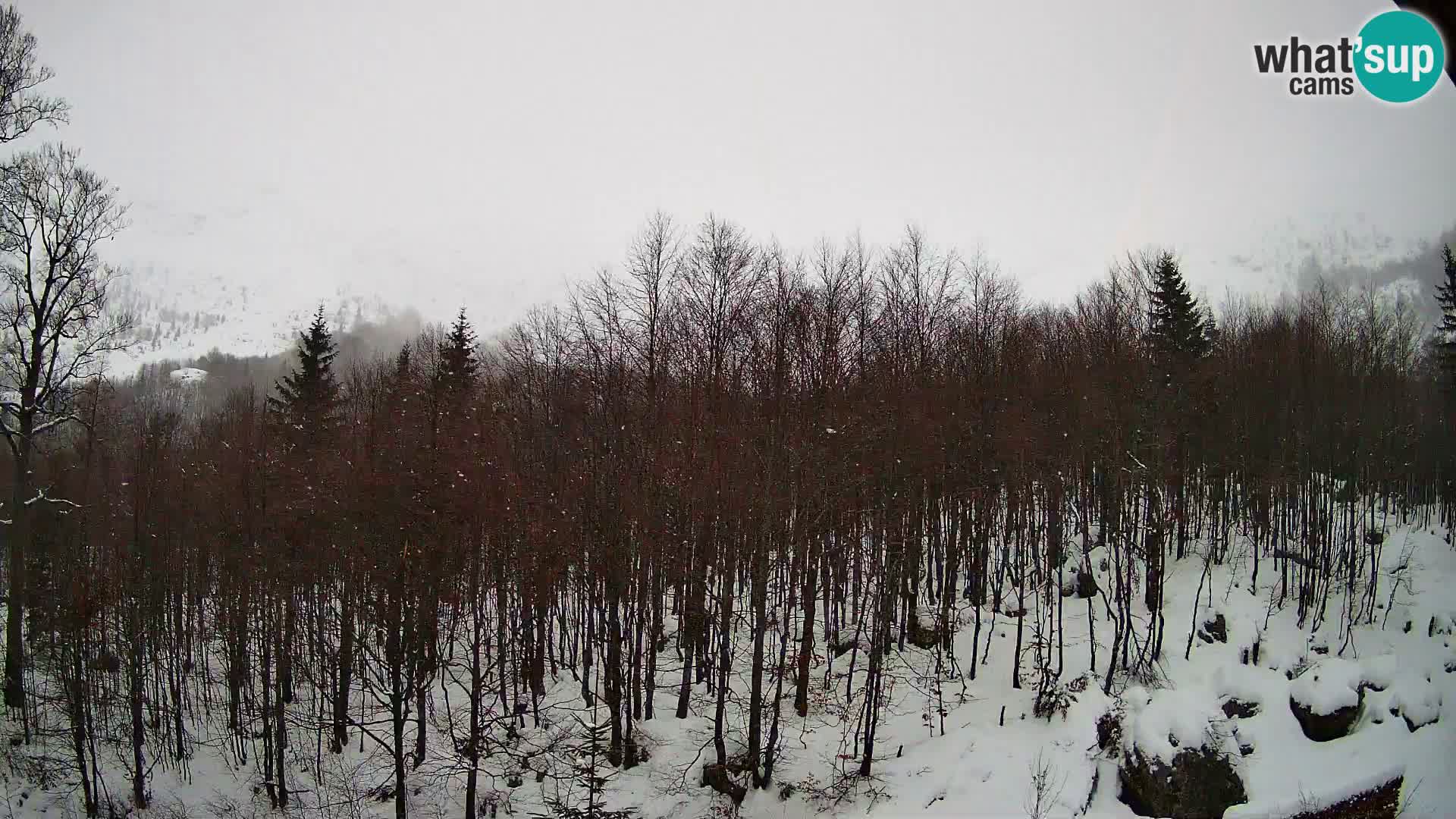 Livecam PLANINA RAZOR (1315) | vue sur Vogel et Globoko