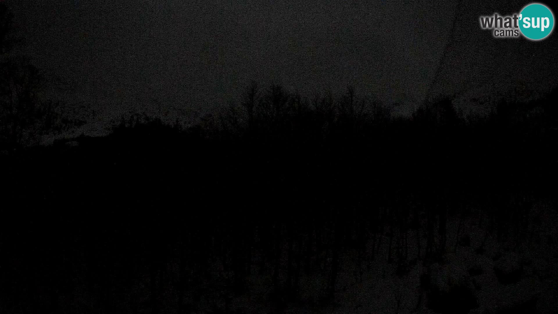 PLANINA RAZOR Live Cam (1315) | vista su Vogel e Globoko