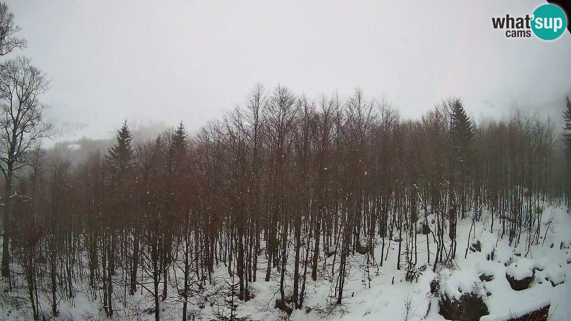 Livecam PLANINA RAZOR (1315) | vue sur Vogel et Globoko