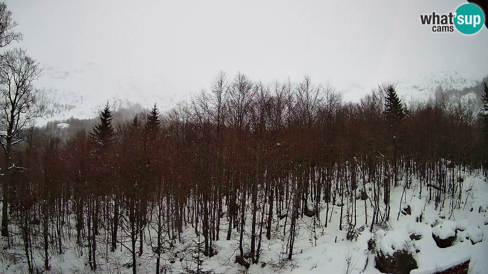 Cámara web PLANINA RAZOR (1315) | vista a Vogel y Globoko