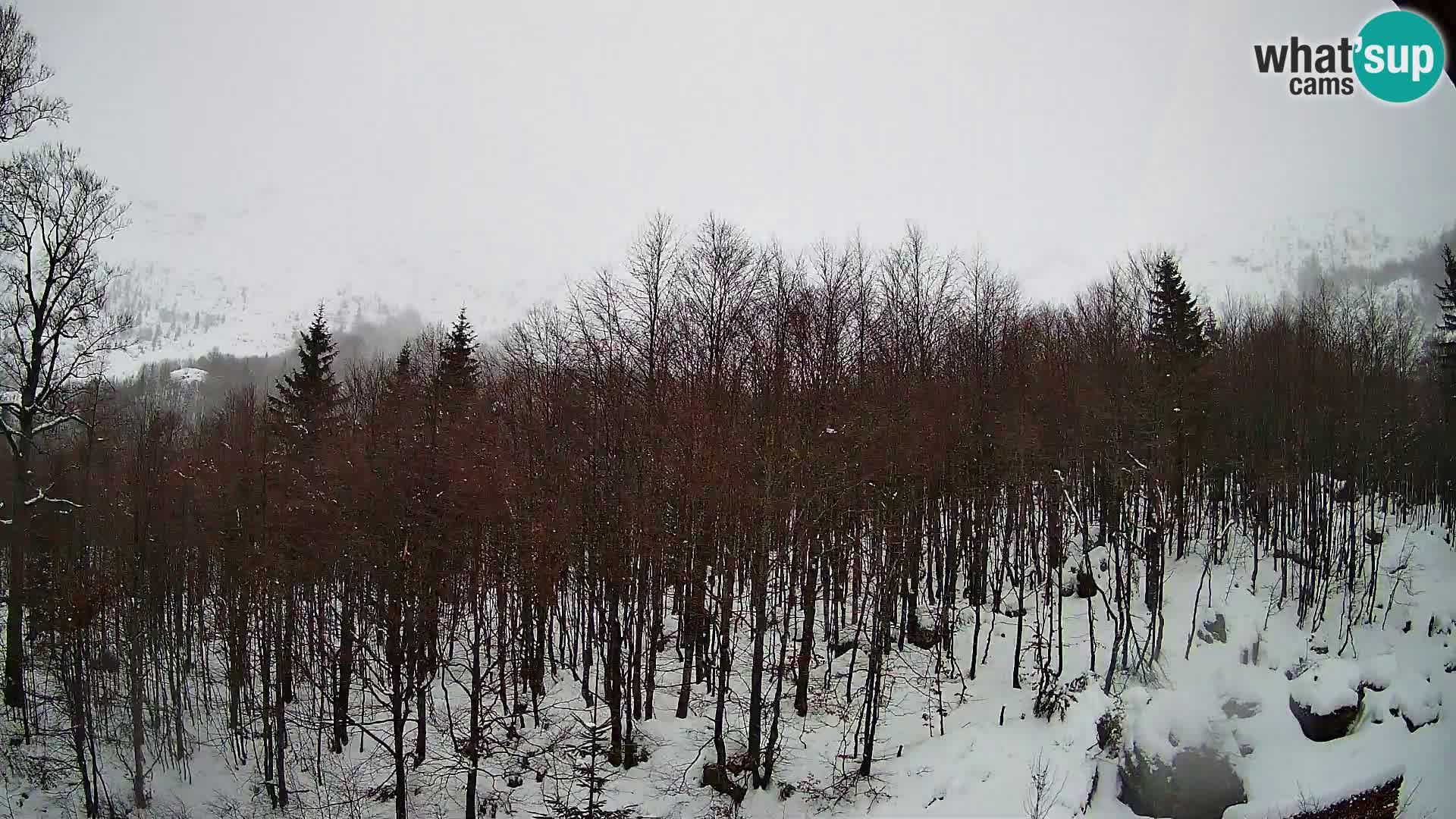 PLANINA RAZOR Live Cam (1315) | vista su Vogel e Globoko