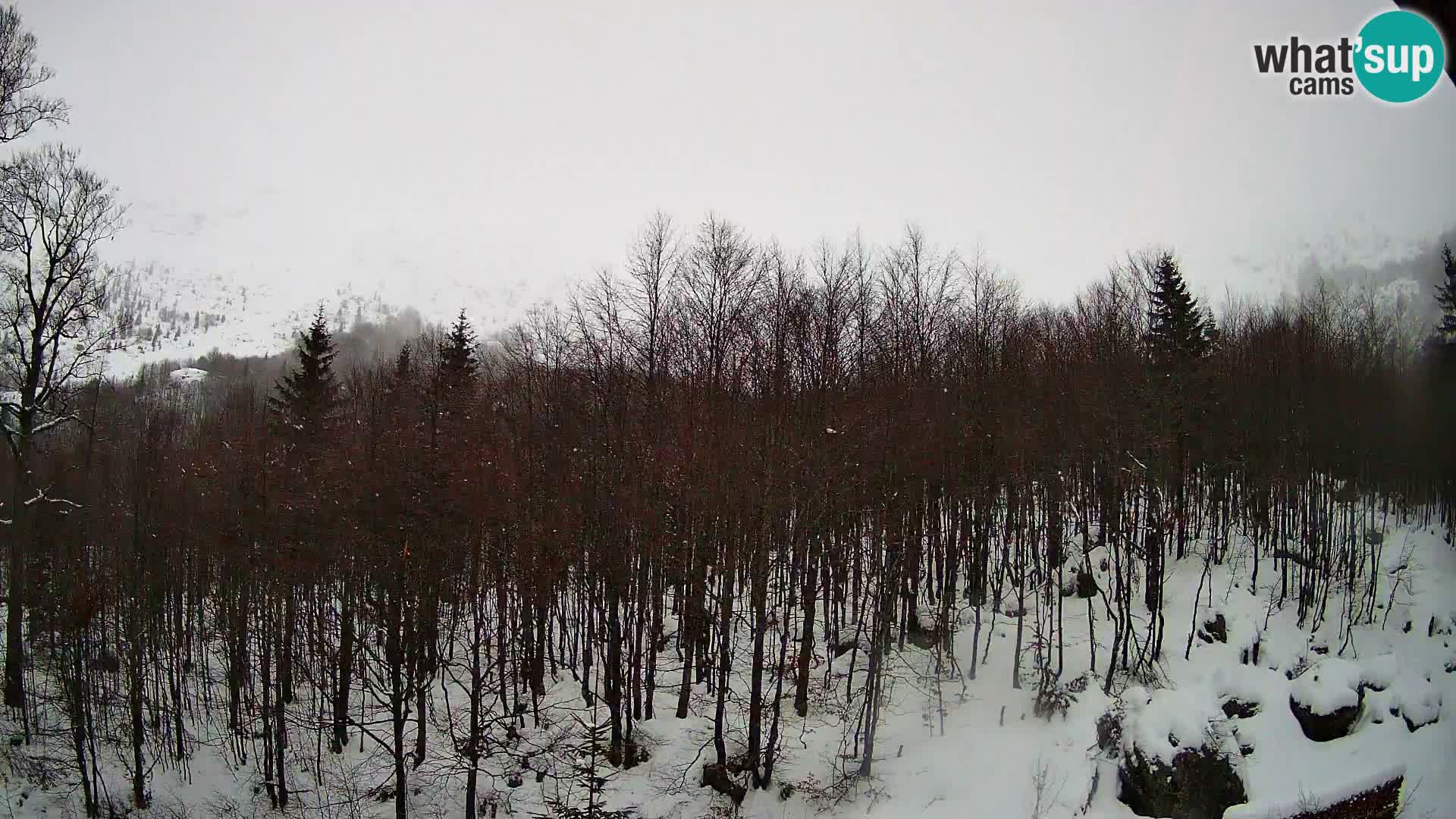 Livecam PLANINA RAZOR (1315) | vue sur Vogel et Globoko