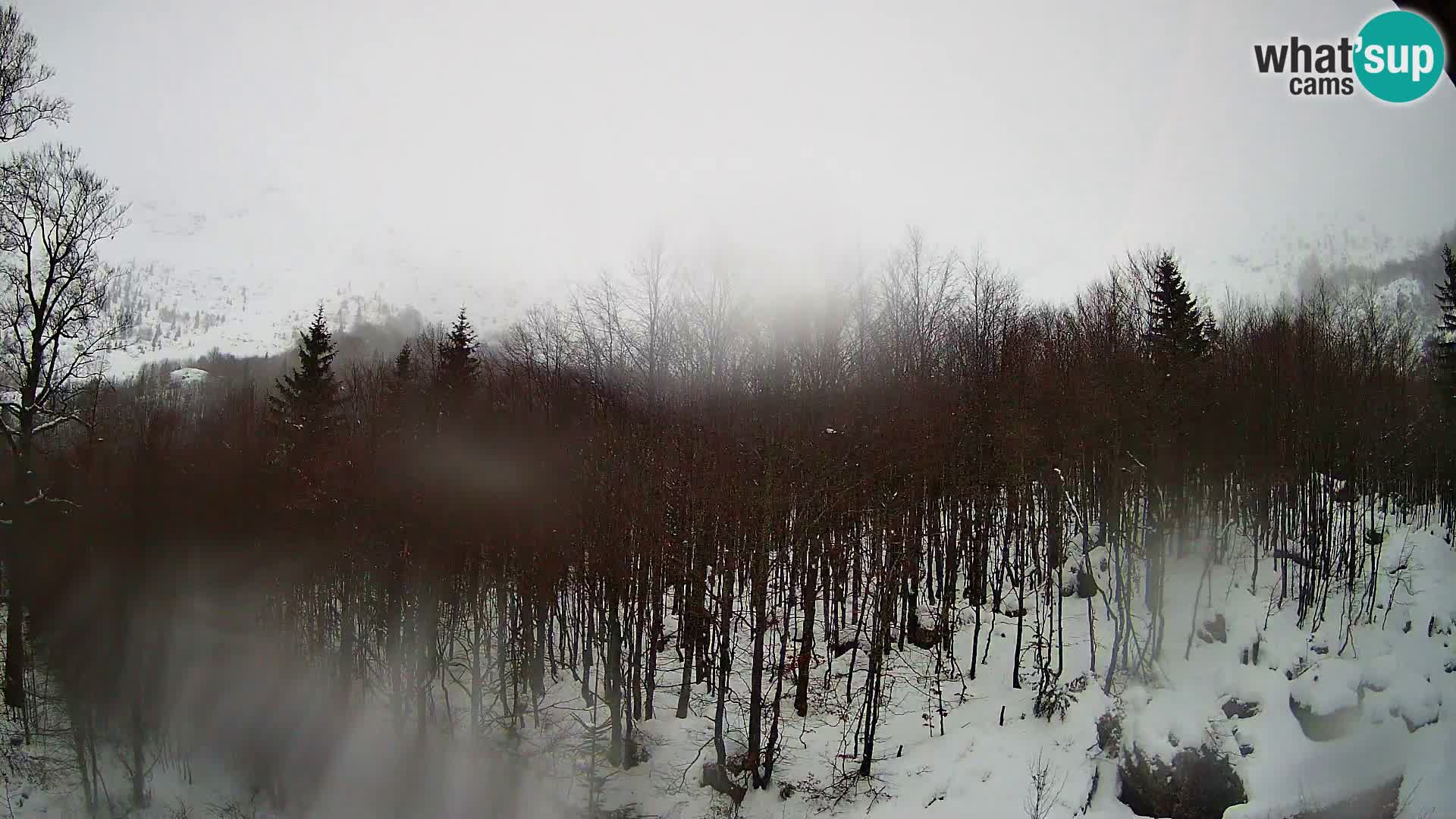 PLANINA RAZOR web kamera (1315) | pogled na Vogel i Globoko