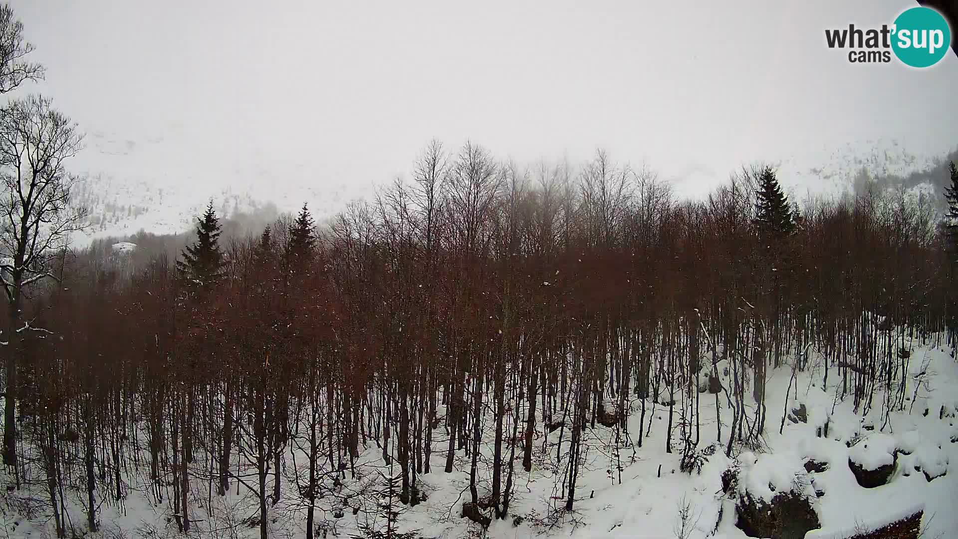 PLANINA RAZOR web kamera (1315) | pogled na Vogel i Globoko