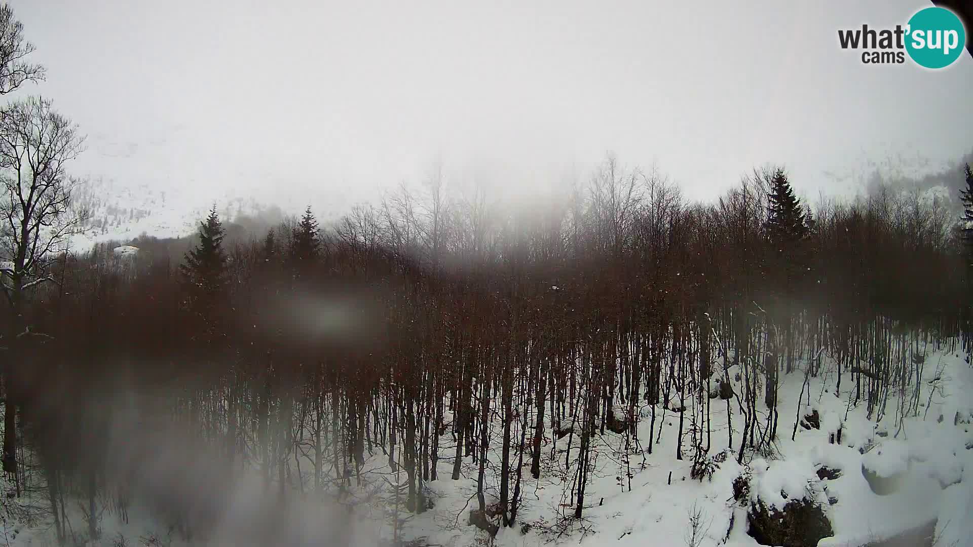 PLANINA RAZOR web kamera (1315) | pogled na Vogel i Globoko