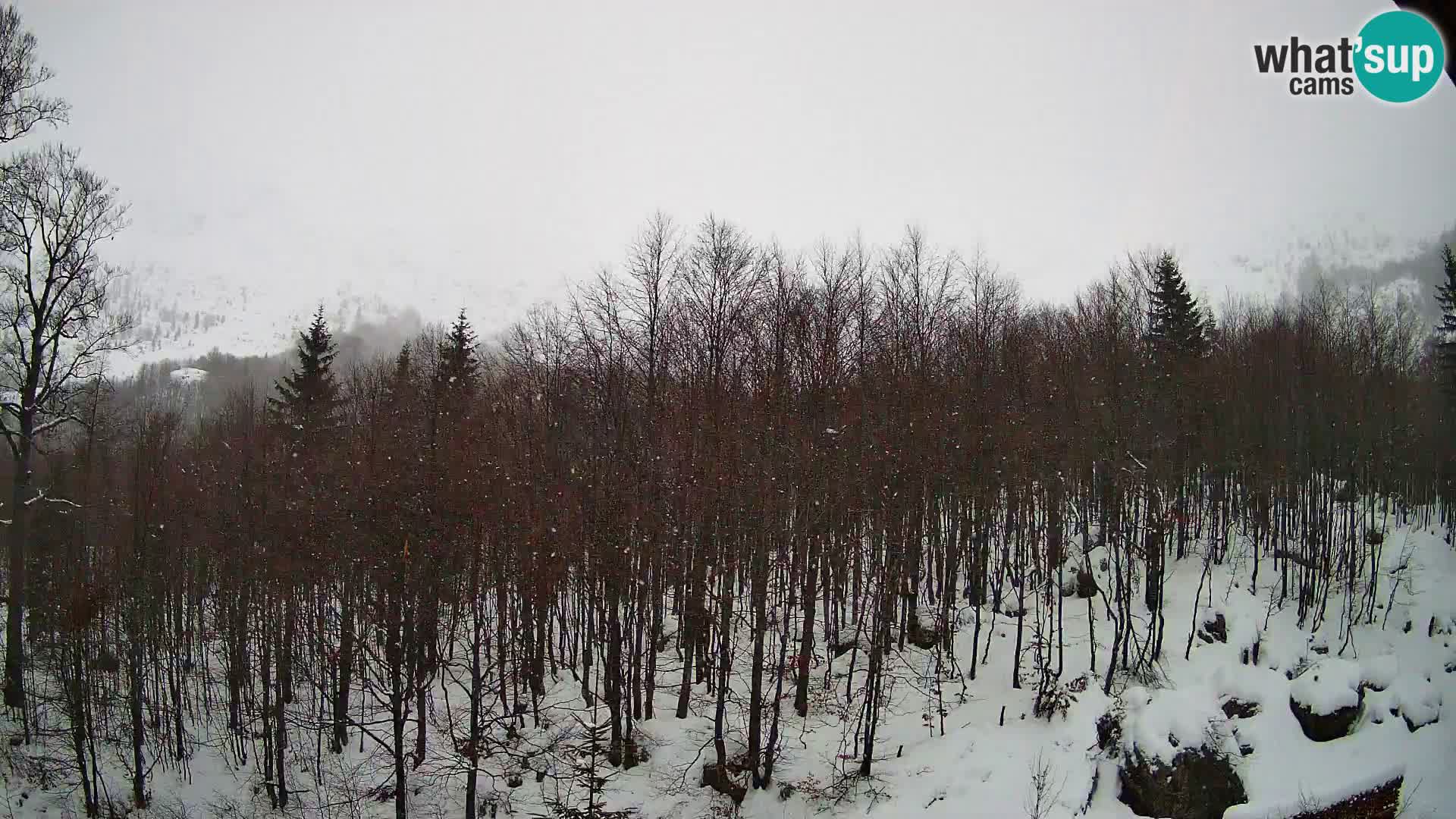 Webcam PLANINA RAZOR (1315) | Blick auf Vogel und Globoko