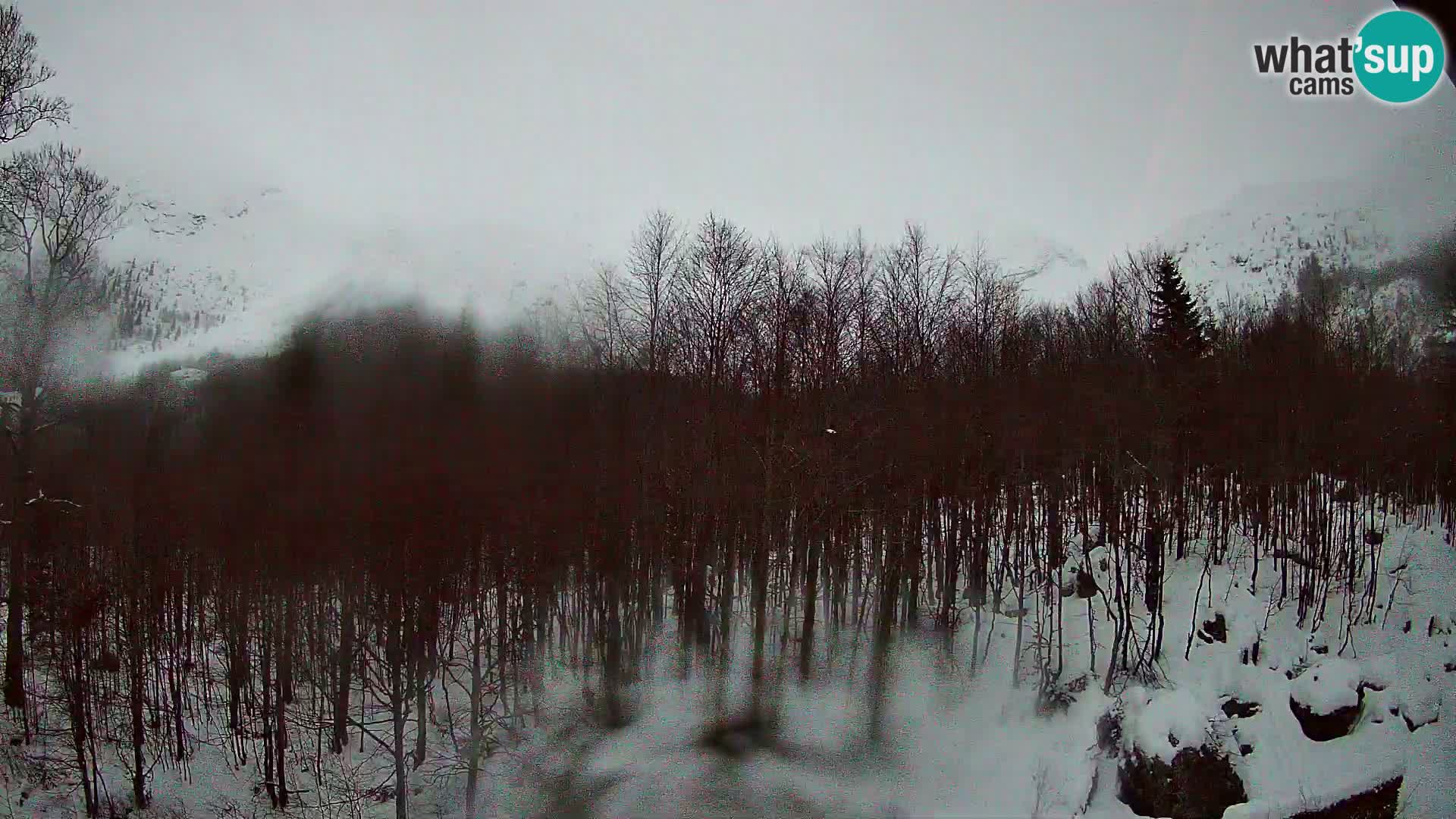 Livecam PLANINA RAZOR (1315) | vue sur Vogel et Globoko