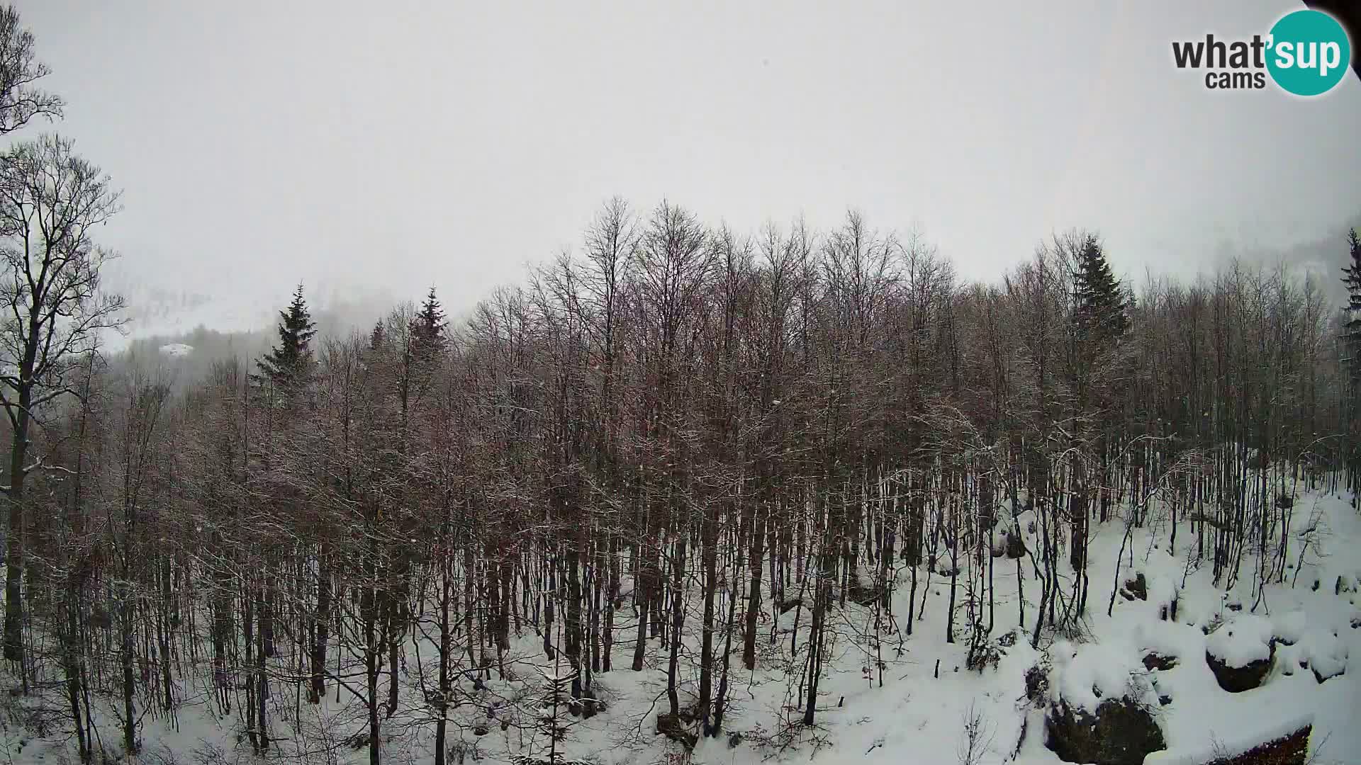 Livecam PLANINA RAZOR (1315) | vue sur Vogel et Globoko