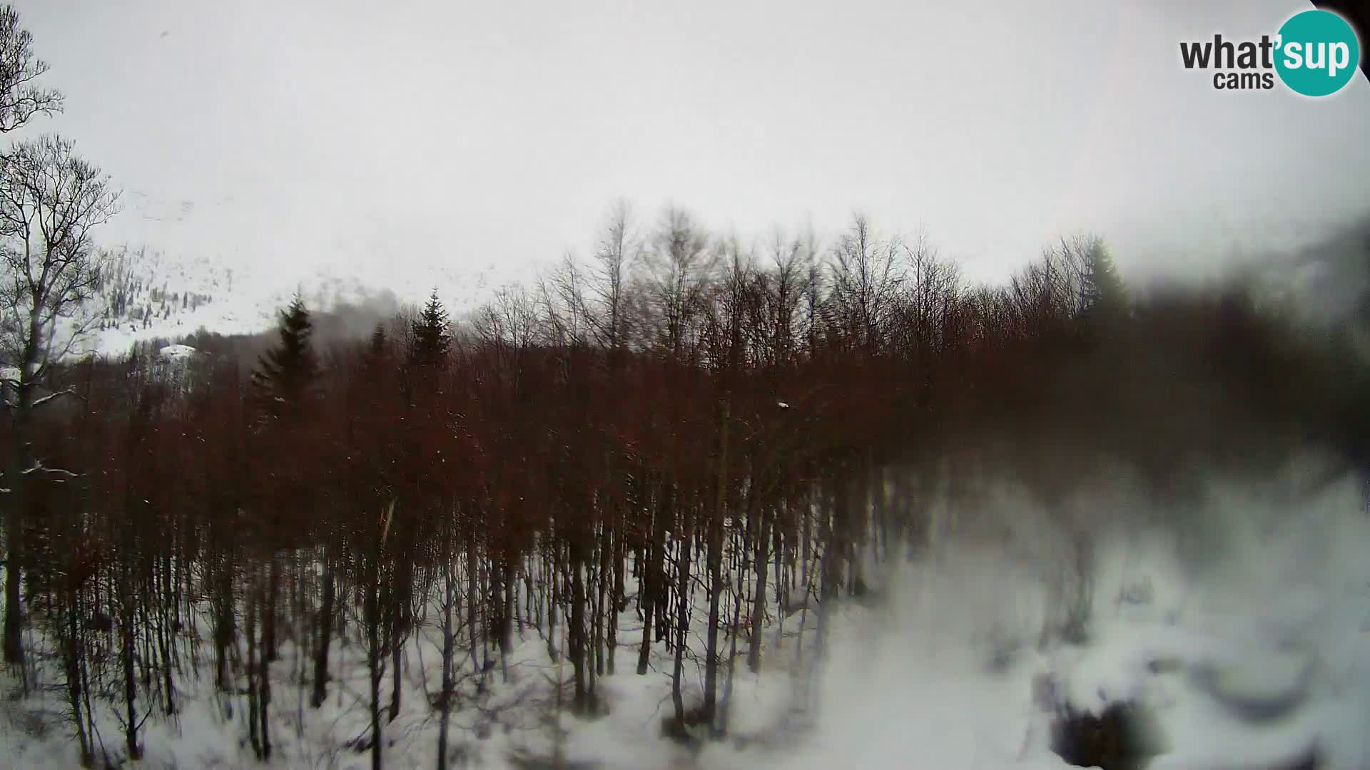 PLANINA RAZOR kamera (1315) | pogled na Vogel in Globoko