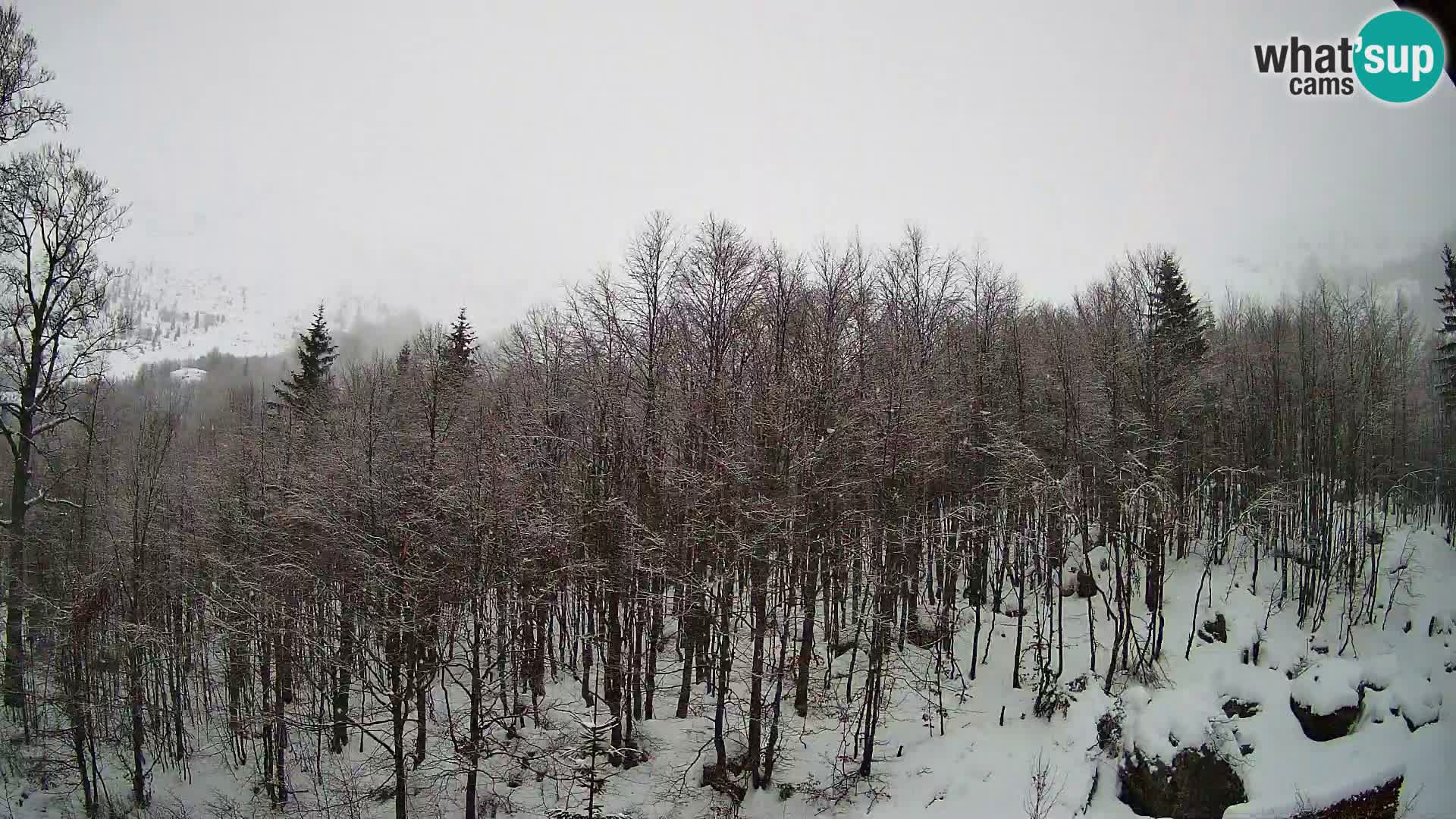 PLANINA RAZOR Live Cam (1315) | vista su Vogel e Globoko
