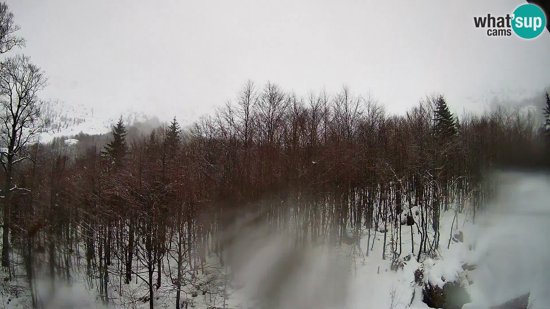 PLANINA RAZOR webcam (1315) | view to Vogel and Globoko