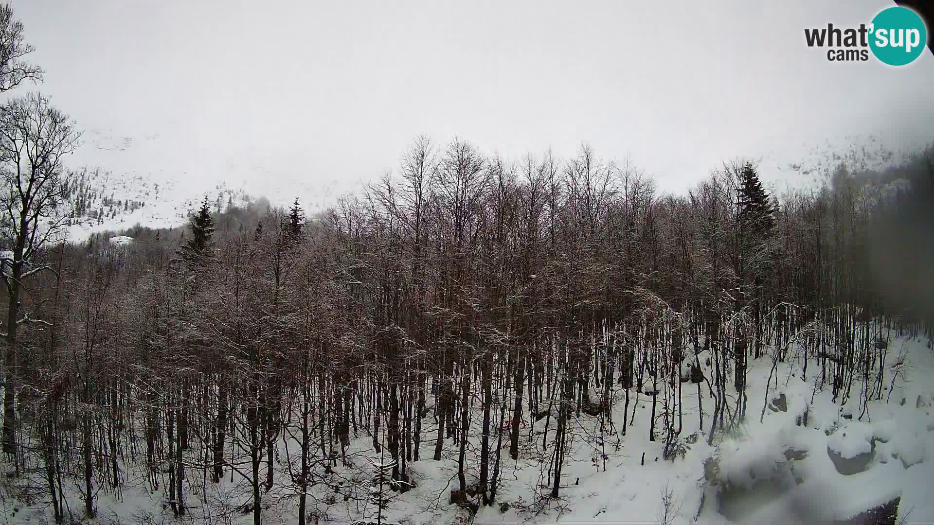 PLANINA RAZOR kamera (1315) | pogled na Vogel in Globoko