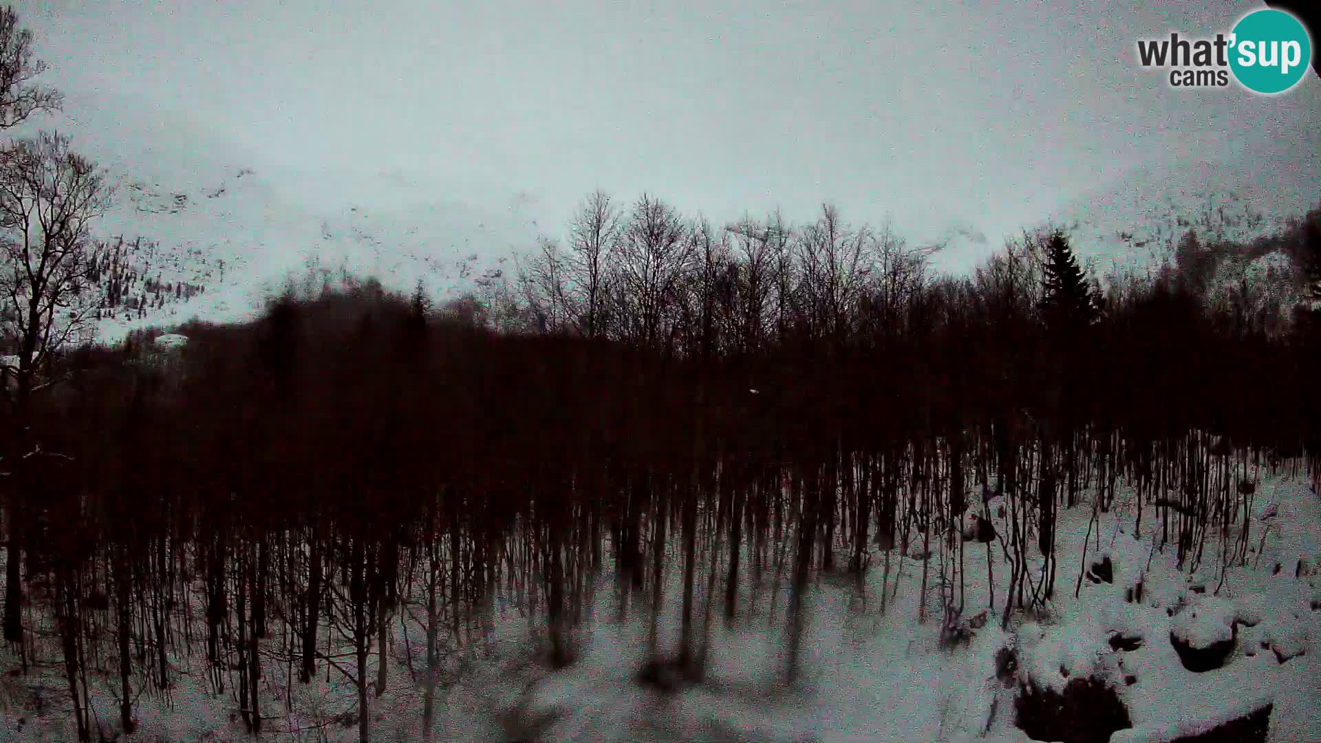 PLANINA RAZOR webcam (1315) | view to Vogel and Globoko