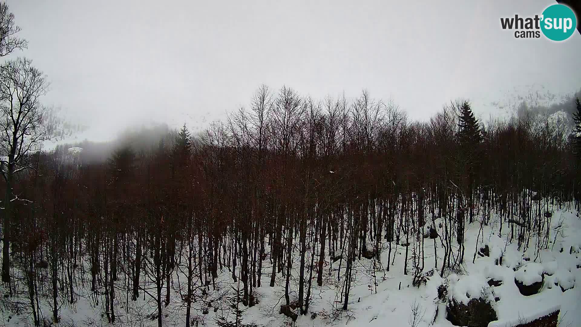 PLANINA RAZOR webcam (1315) | view to Vogel and Globoko