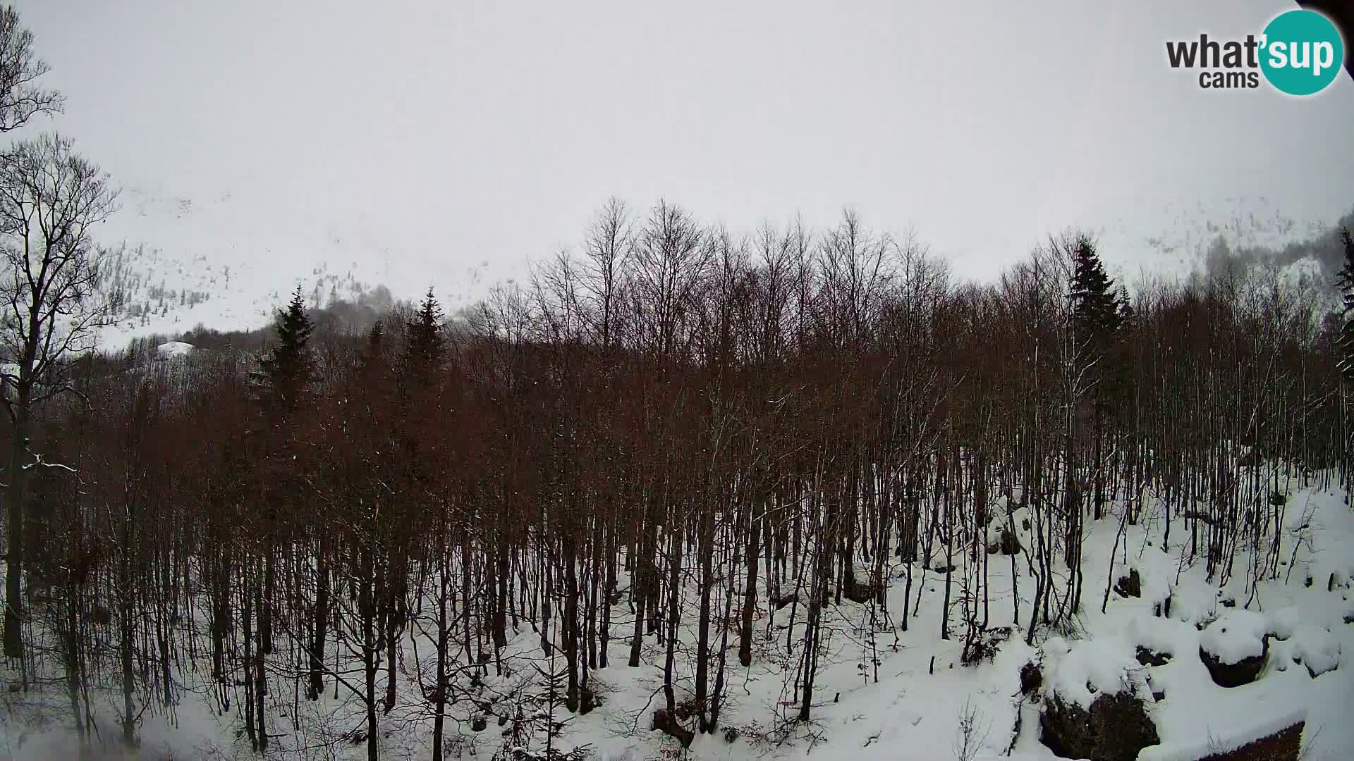 PLANINA RAZOR Live Cam (1315) | vista su Vogel e Globoko