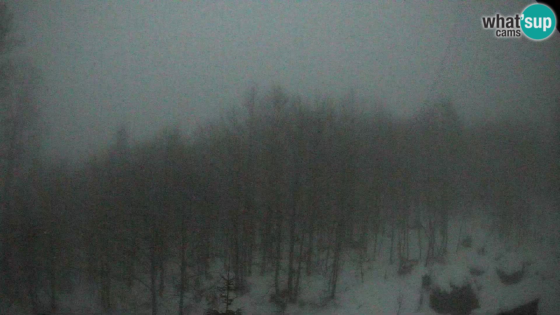 Webcam PLANINA RAZOR (1315) | Blick auf Vogel und Globoko