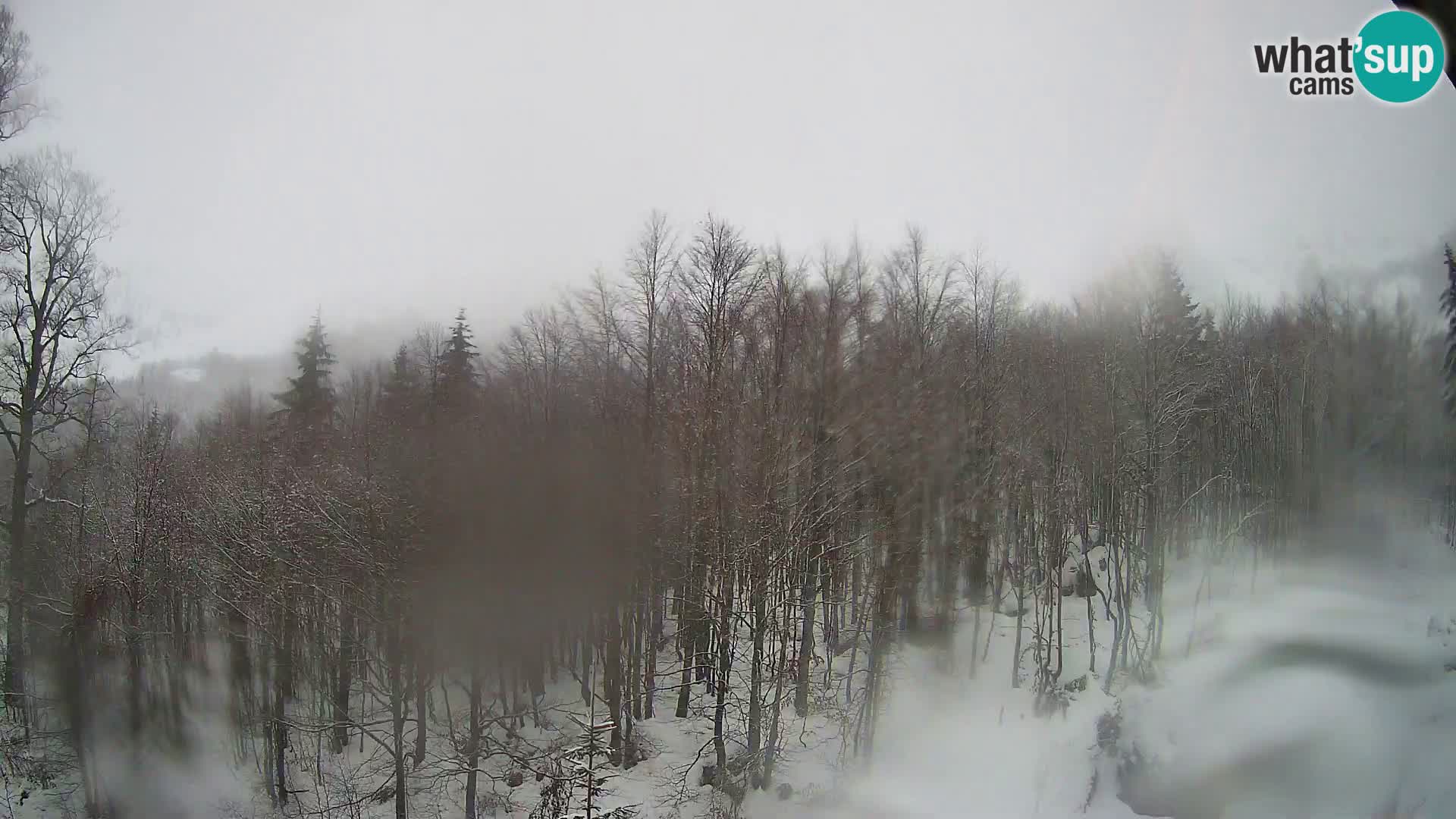 Webcam PLANINA RAZOR (1315) | Blick auf Vogel und Globoko