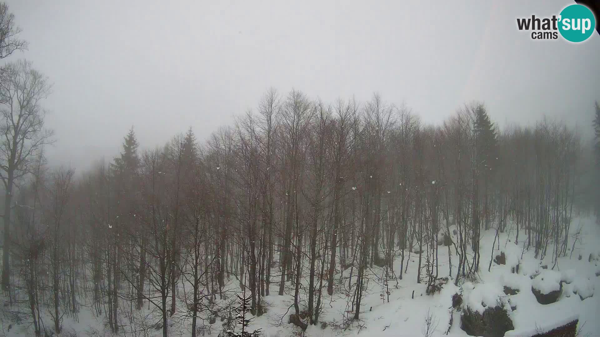 Livecam PLANINA RAZOR (1315) | vue sur Vogel et Globoko