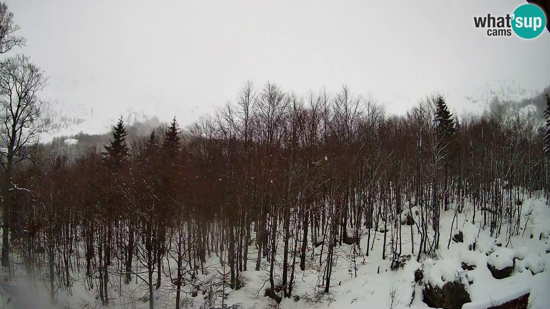 Webcam PLANINA RAZOR (1315) | Blick auf Vogel und Globoko