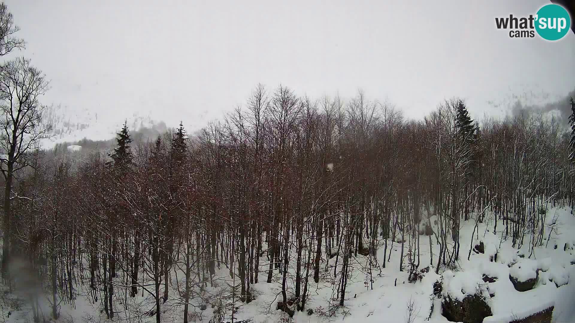 PLANINA RAZOR webcam (1315) | view to Vogel and Globoko