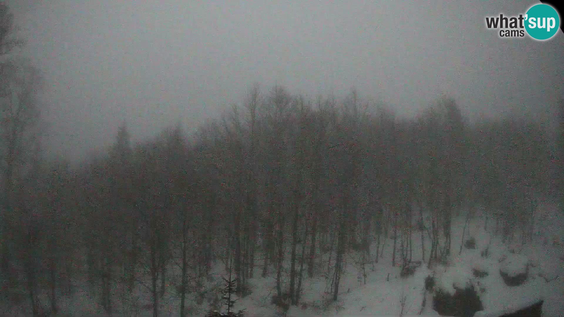 PLANINA RAZOR web kamera (1315) | pogled na Vogel i Globoko