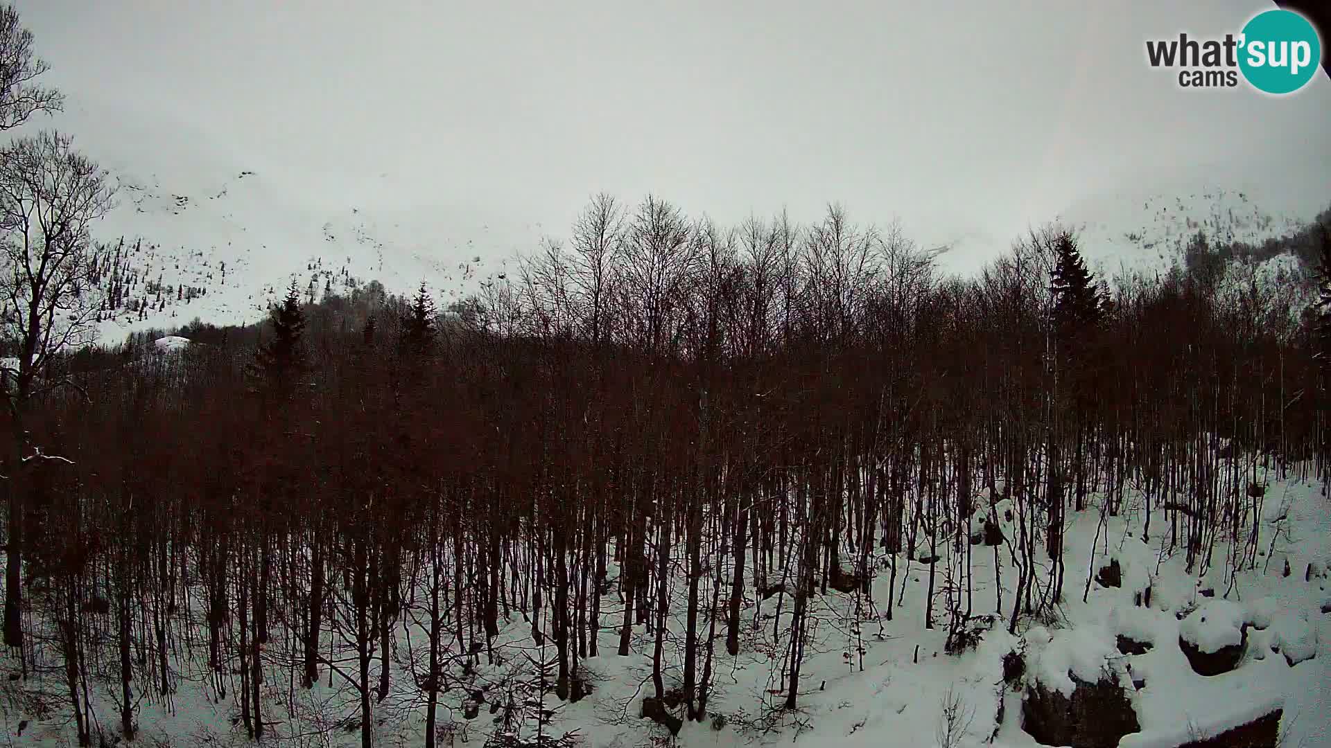 PLANINA RAZOR Live Cam (1315) | vista su Vogel e Globoko