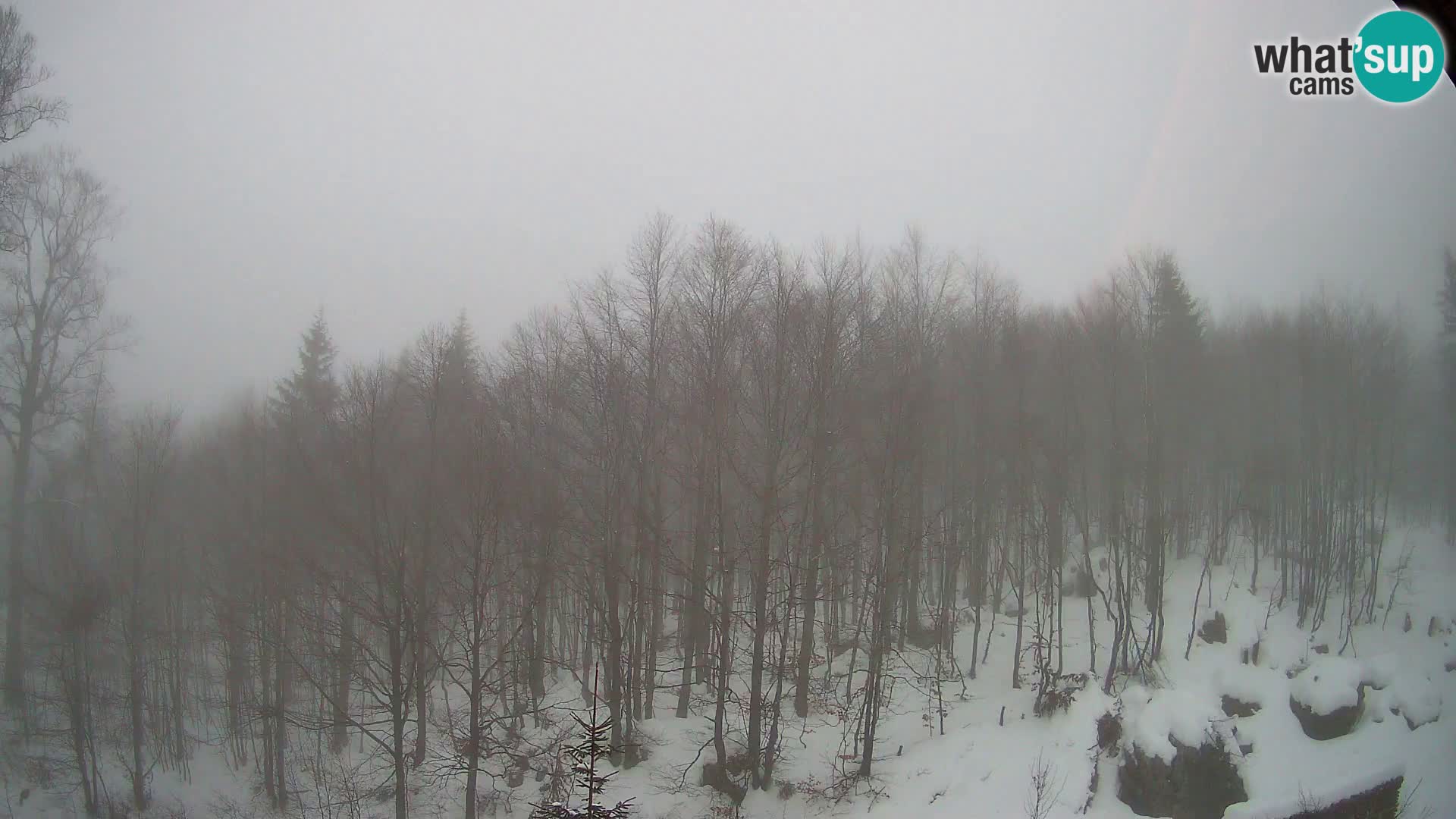 PLANINA RAZOR kamera (1315) | pogled na Vogel in Globoko