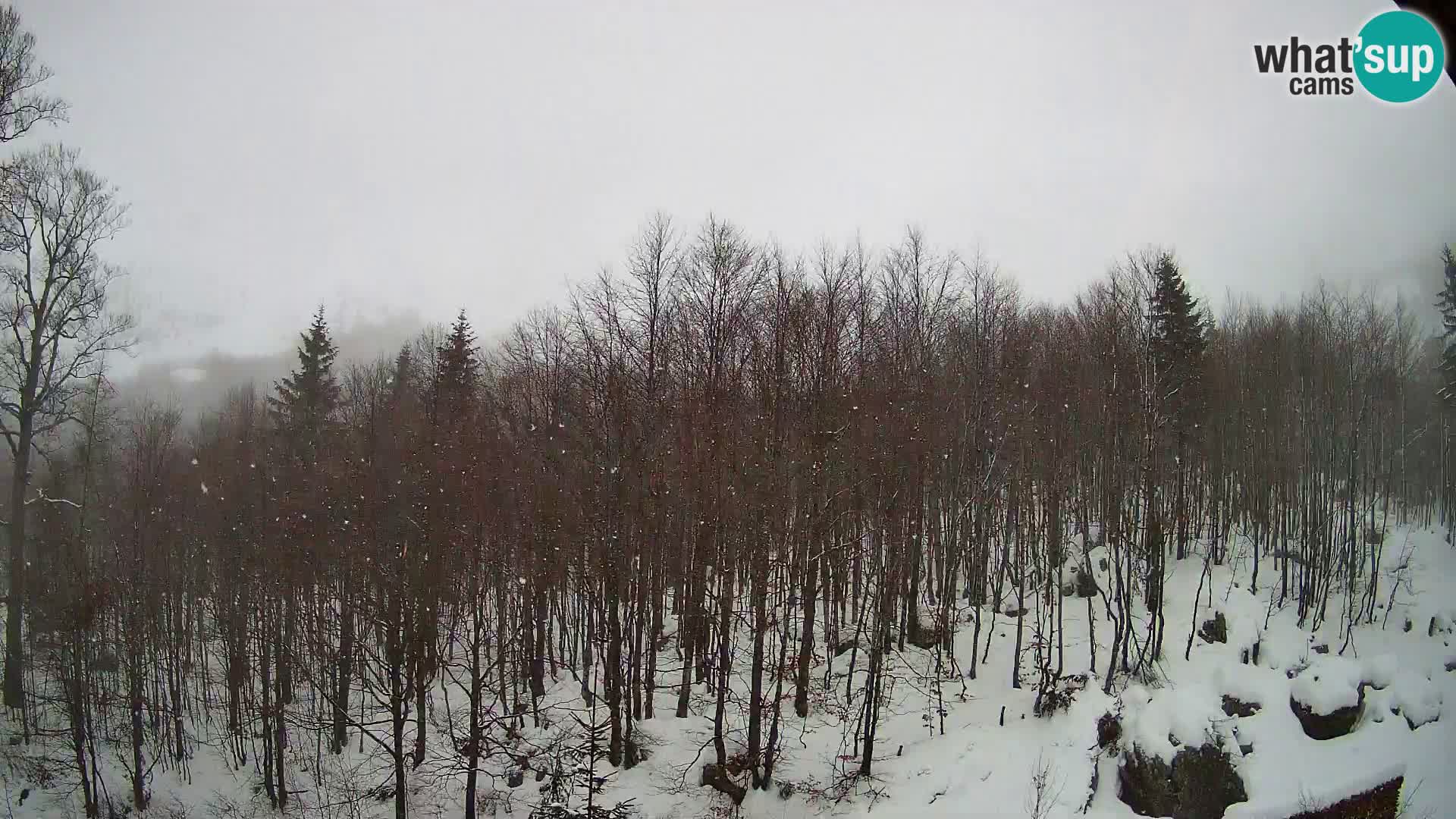PLANINA RAZOR kamera (1315) | pogled na Vogel in Globoko