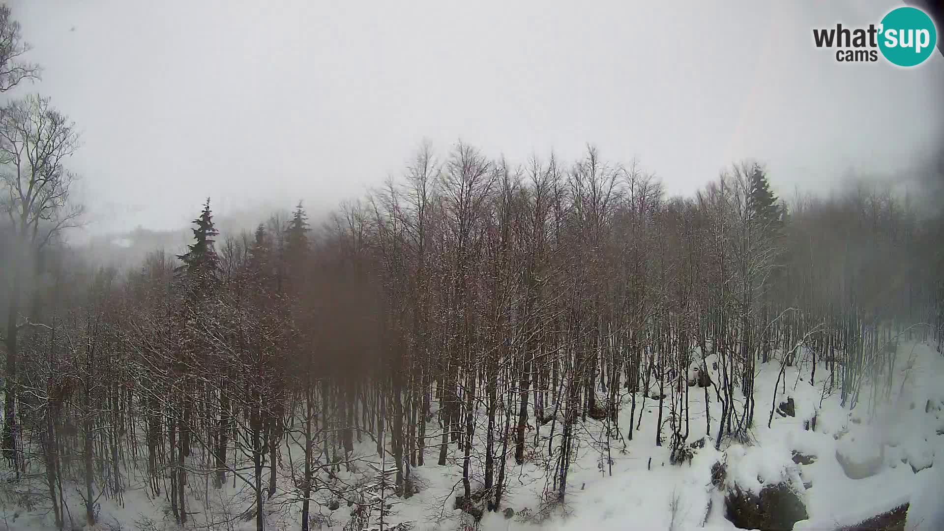 PLANINA RAZOR kamera (1315) | pogled na Vogel in Globoko