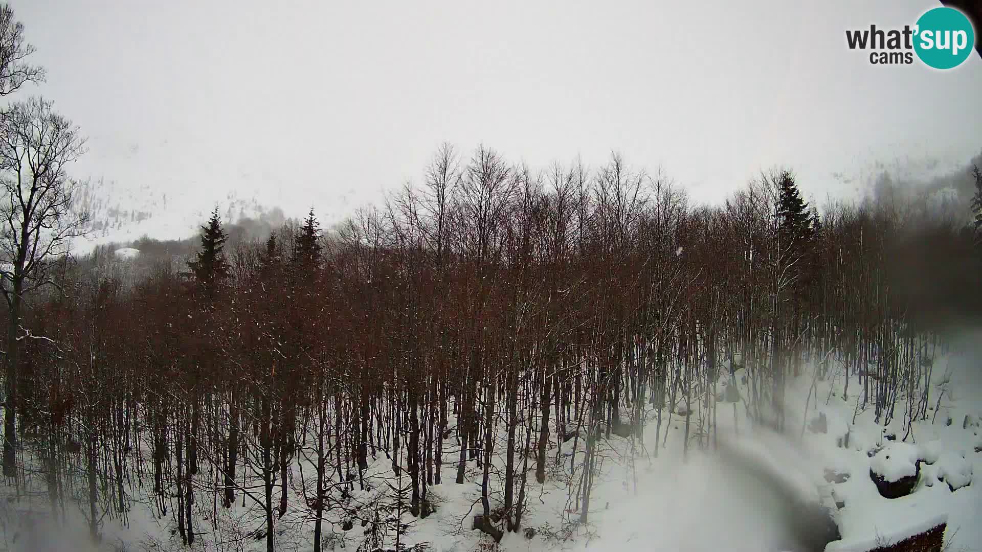 Livecam PLANINA RAZOR (1315) | vue sur Vogel et Globoko