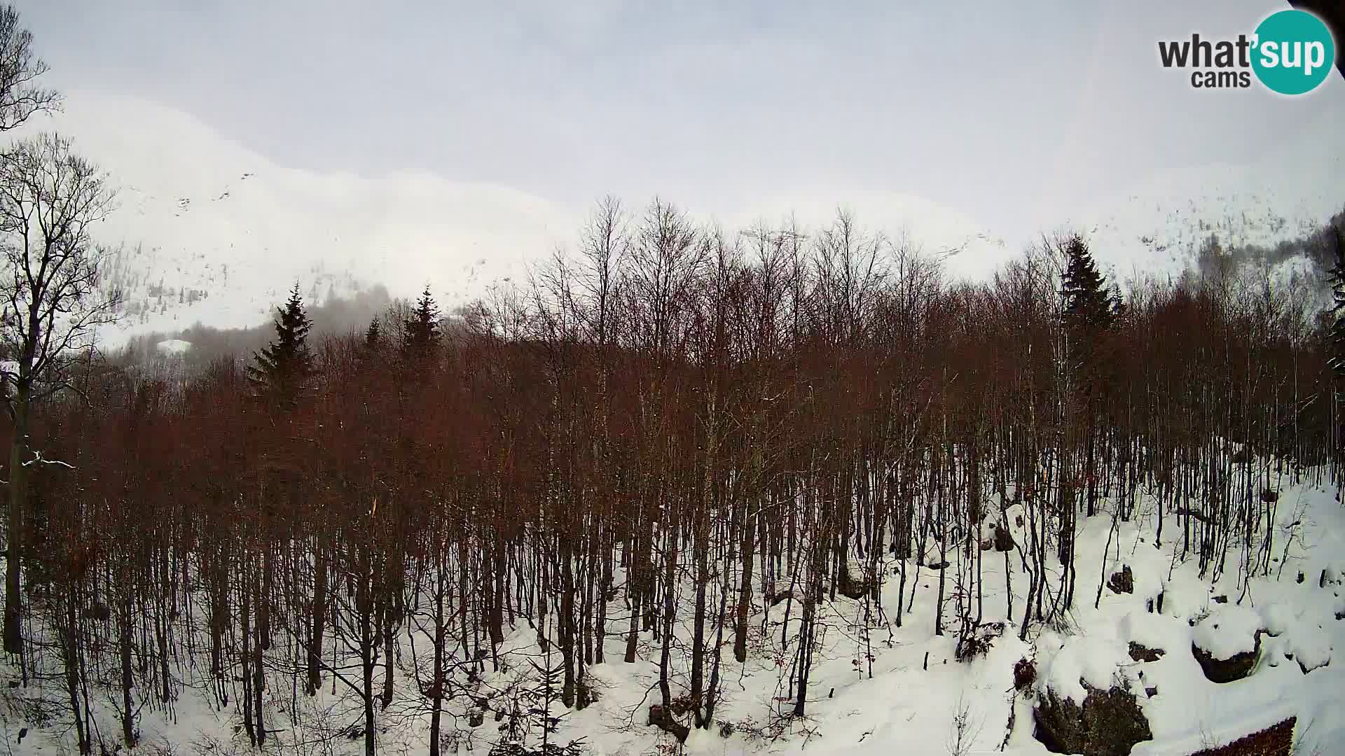 PLANINA RAZOR web kamera (1315) | pogled na Vogel i Globoko