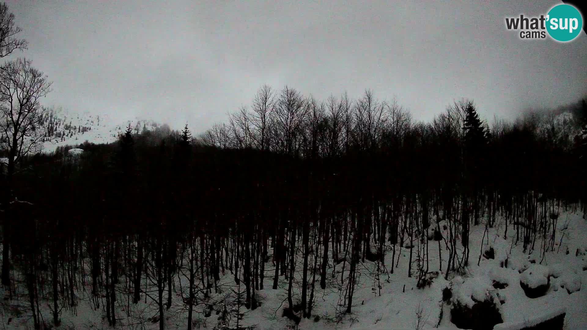 Cámara web PLANINA RAZOR (1315) | vista a Vogel y Globoko