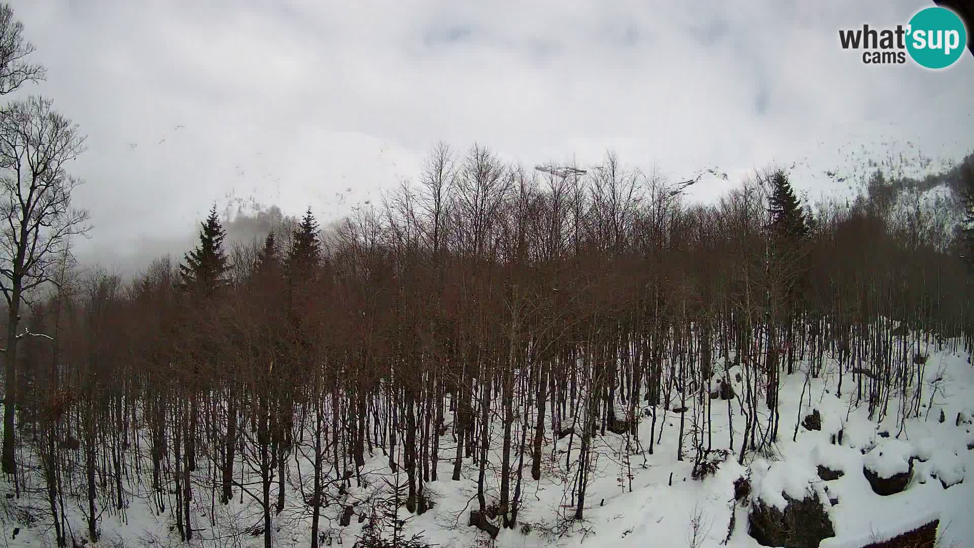 PLANINA RAZOR web kamera (1315) | pogled na Vogel i Globoko