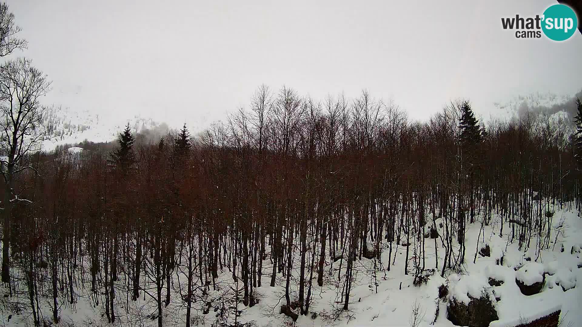 PLANINA RAZOR Live Cam (1315) | vista su Vogel e Globoko