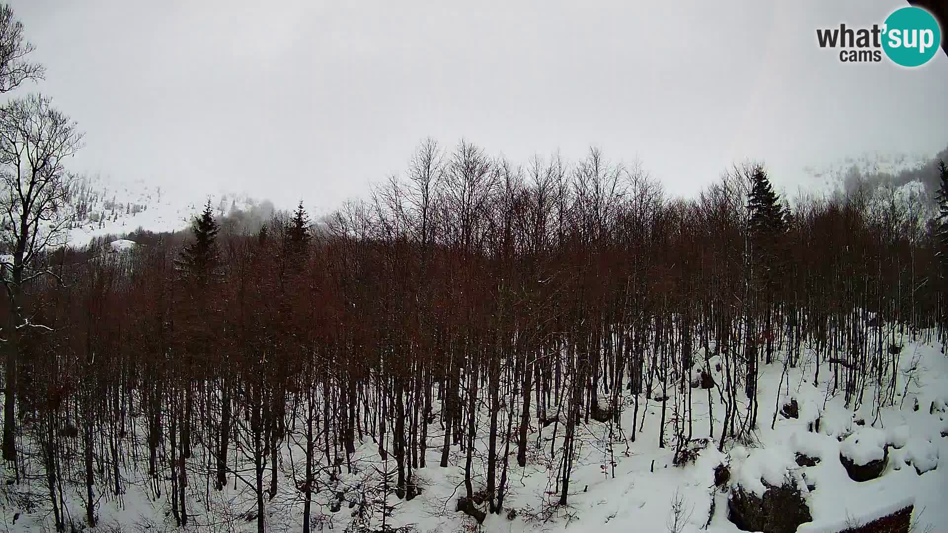Webcam PLANINA RAZOR (1315) | Blick auf Vogel und Globoko