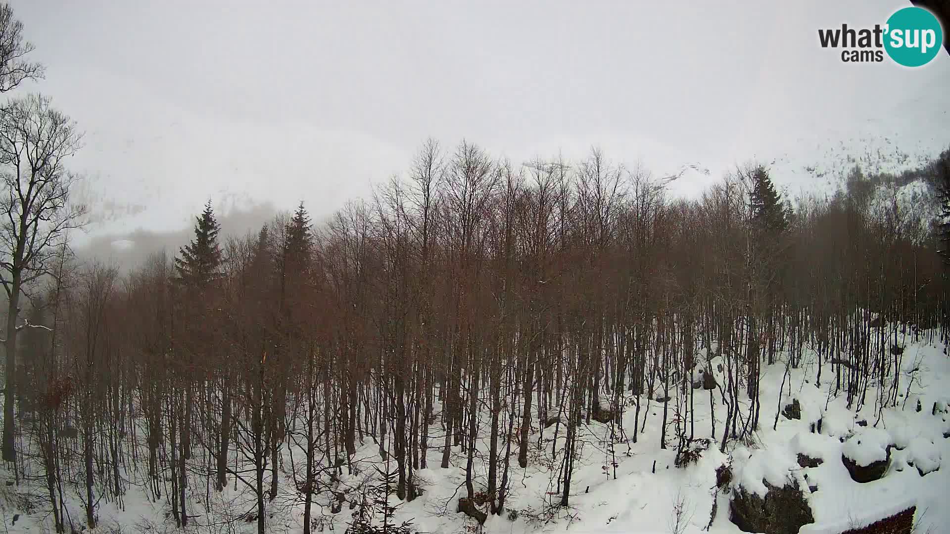 Livecam PLANINA RAZOR (1315) | vue sur Vogel et Globoko