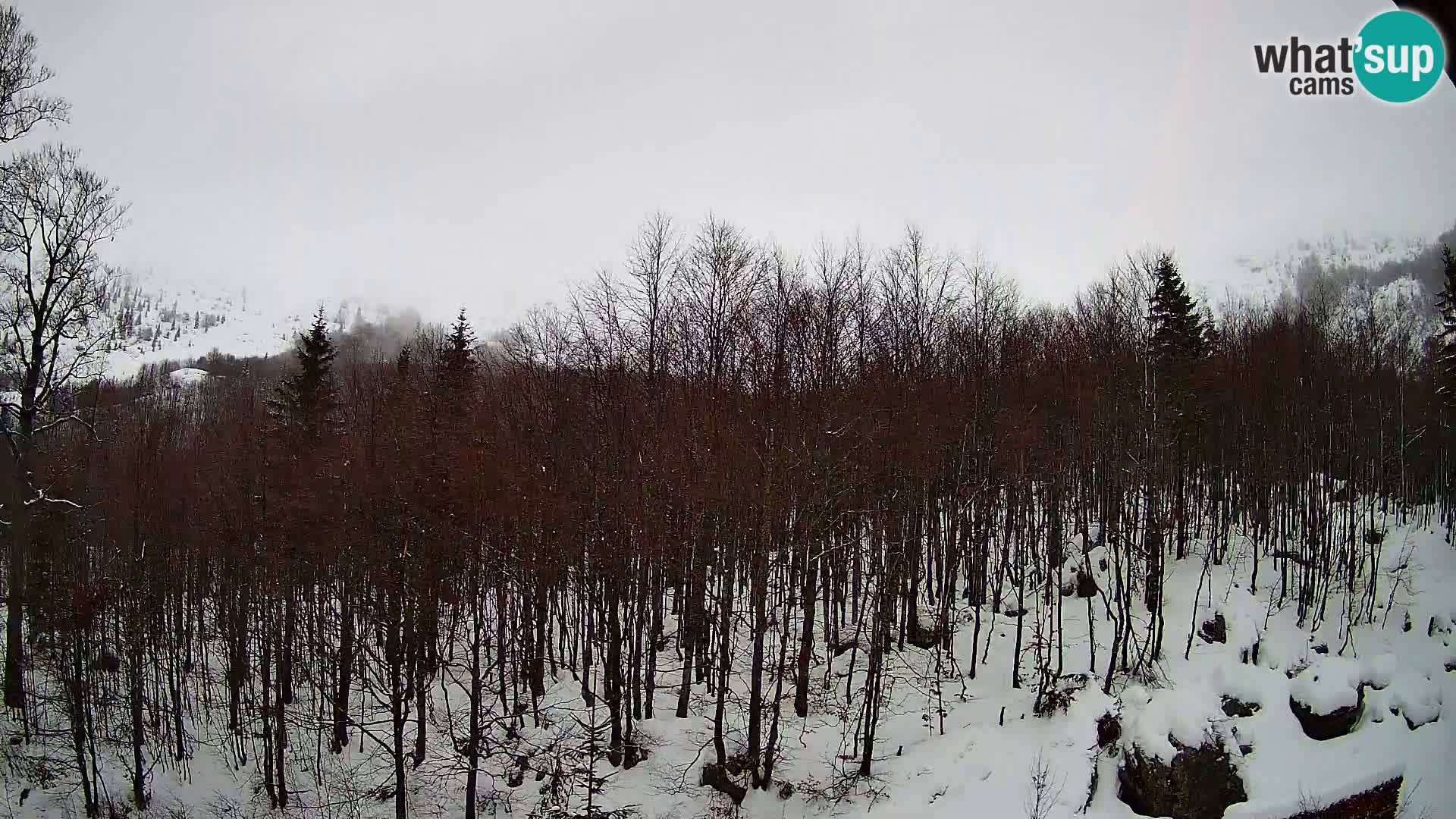 PLANINA RAZOR webcam (1315) | view to Vogel and Globoko