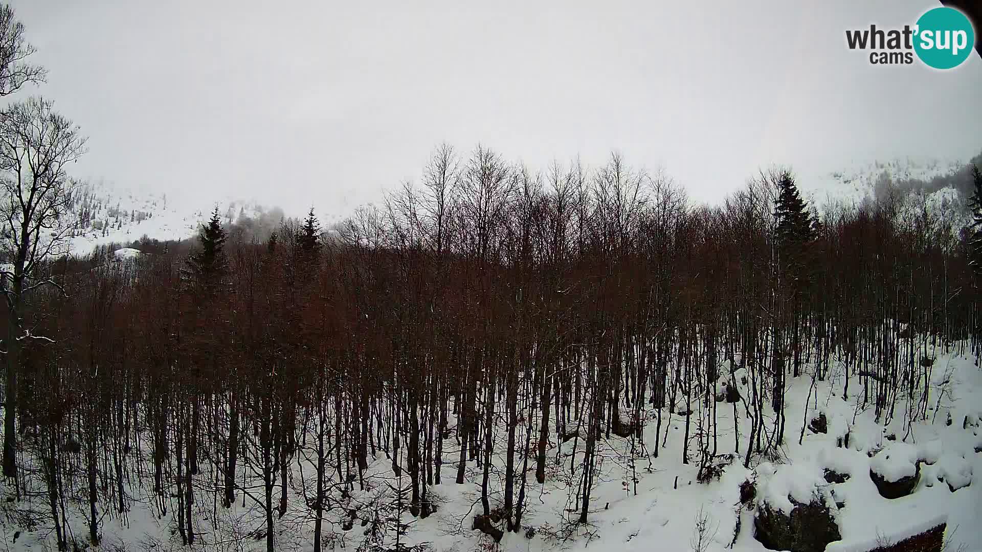 Livecam PLANINA RAZOR (1315) | vue sur Vogel et Globoko